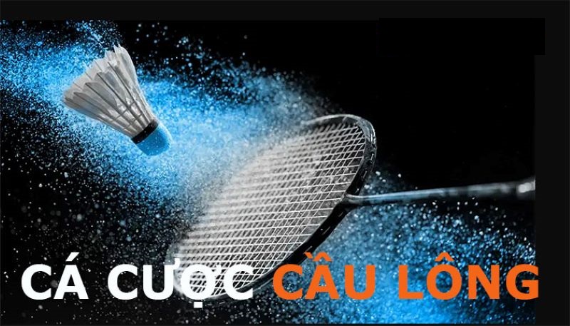 Cá Cược Cầu Lông tại XocDia88 – Tỷ lệ hấp dẫn, trải nghiệm đỉnh cao 3 Vì sao nên Cá Cược Cầu Lông tại XocDia88?