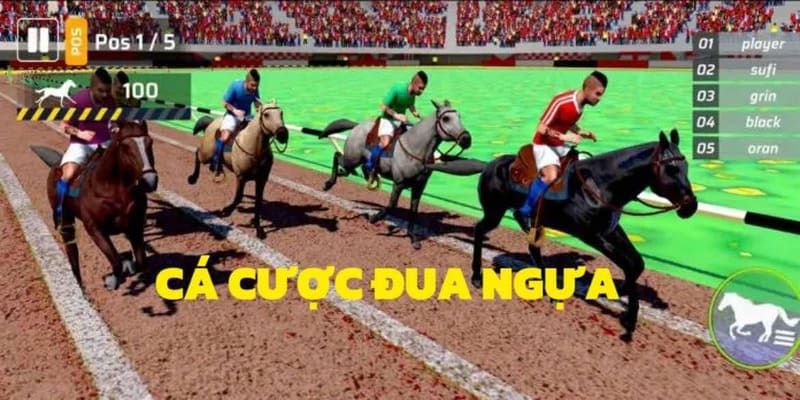 Cá Cược Đua Ngựa giao diện hiện đại, tỷ lệ cược minh bạch