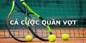 Cá Cược Quần Vợt nhịp độ nhanh và nhiều giải đấu quanh năm